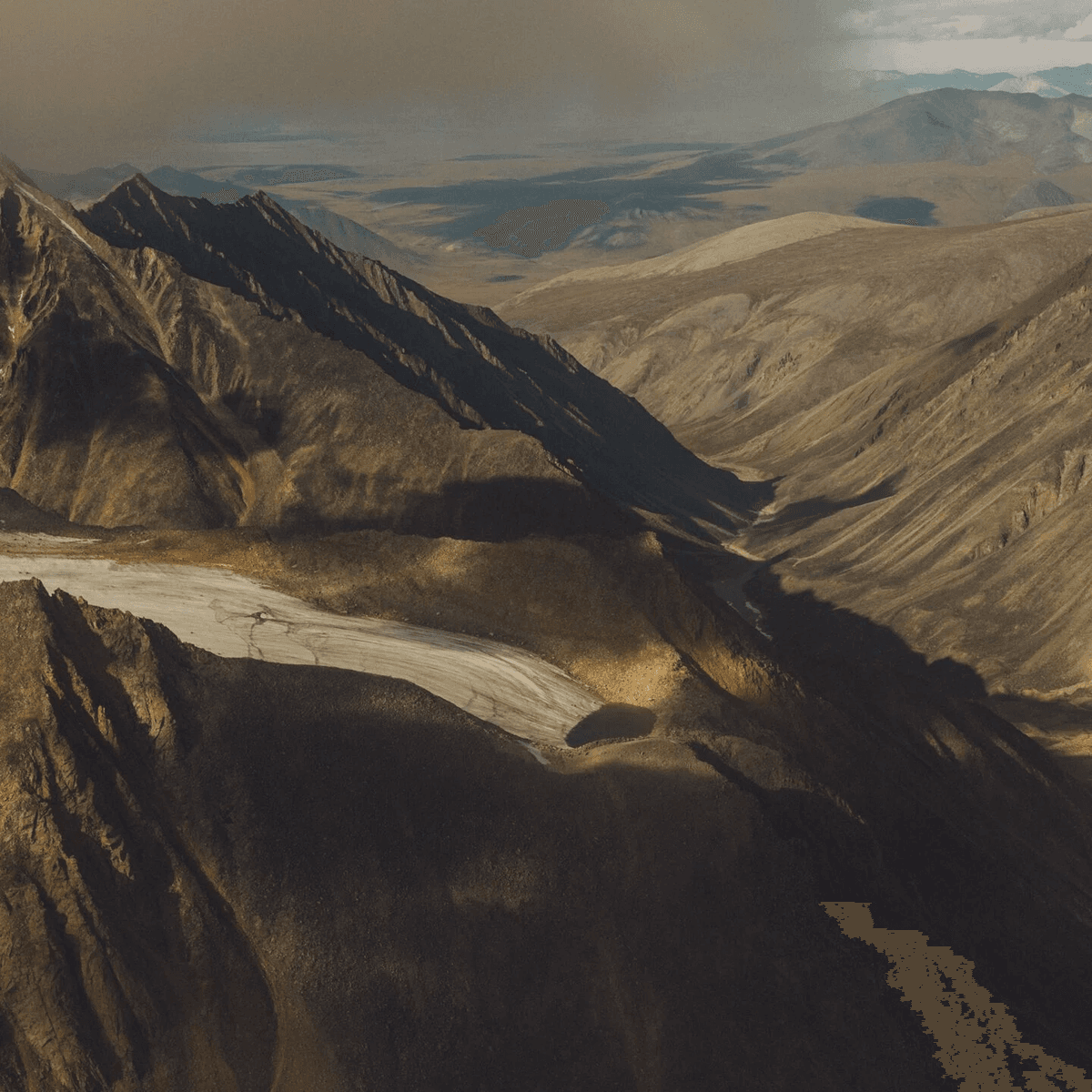 New Perspectives: First Edition Showcase - 2