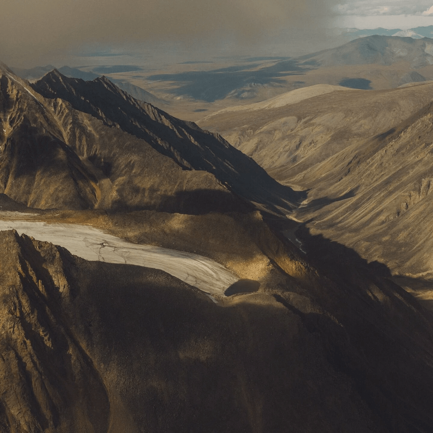 Assembled installation — gallery panorama